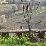 Eco Villas