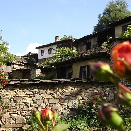 Eco Villas Country house